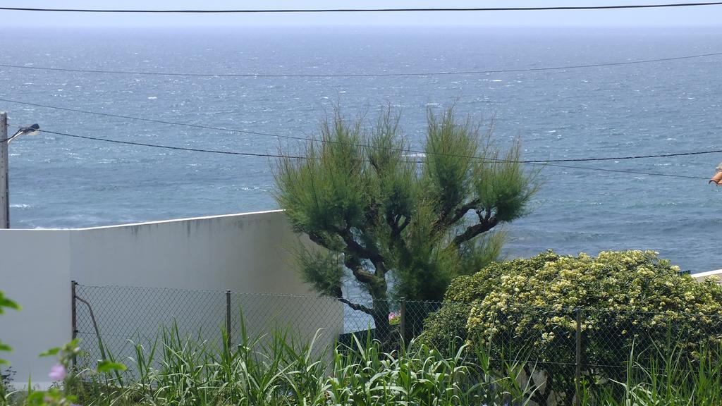 Santa Cruz Ocean Apartment - II Экстерьер фото